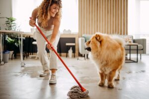pet cleaning