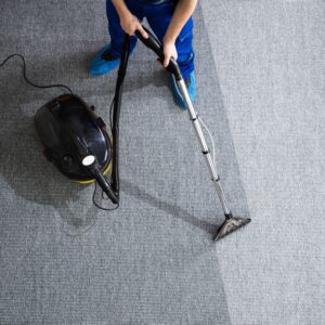 carpet stain removal service Auckland