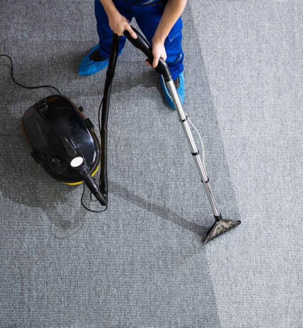 carpet stain removal service Auckland