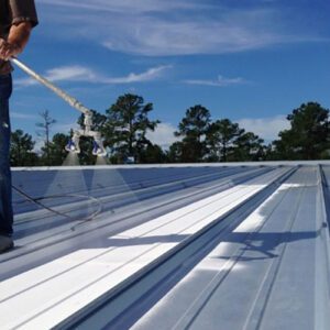 soft wash roof cleaning service New Zealand