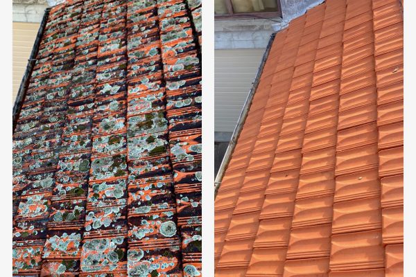 roof moss lichen treatment Auckland before after