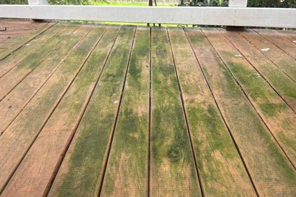 timber deck washing before after Auckland Super Quality Cleaning