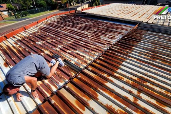 concrete tile roof algae removal Auckland