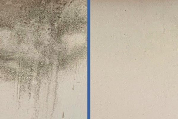 clean home exterior after professional washing Auckland