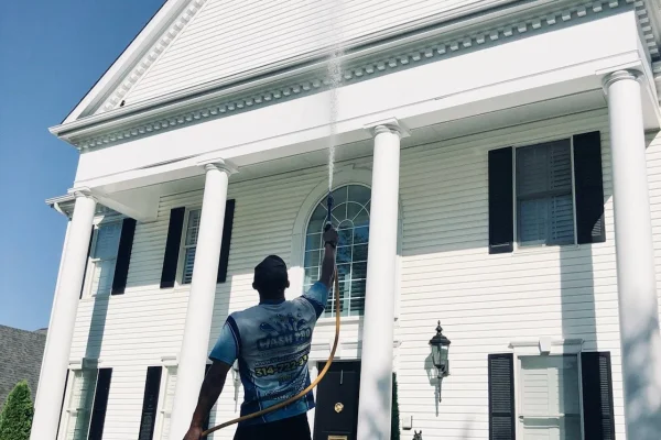 Professional+Soft+Wash+St.+Louis