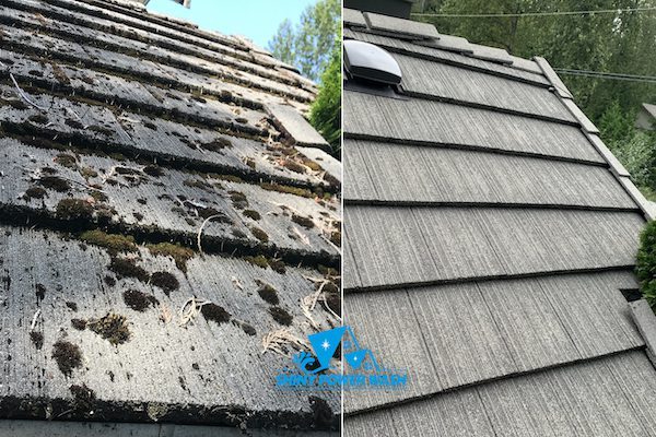 soft wash roof cleaning service New Zealand