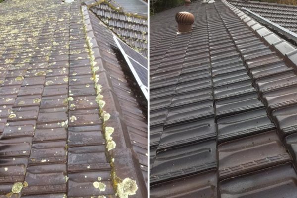 roof moss lichen treatment Auckland before after