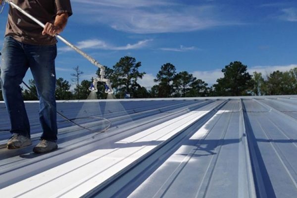 soft wash roof cleaning service New Zealand